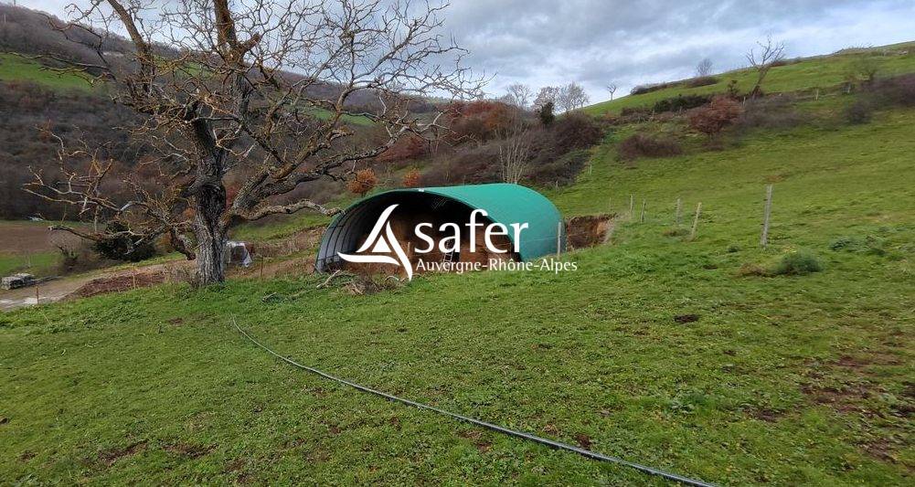 Azienda agricola In vendita Rh&ocirc;ne