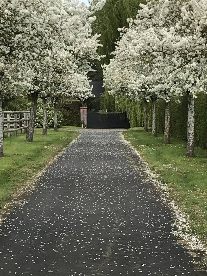 Propriet&agrave; equestre In vendita Calvados