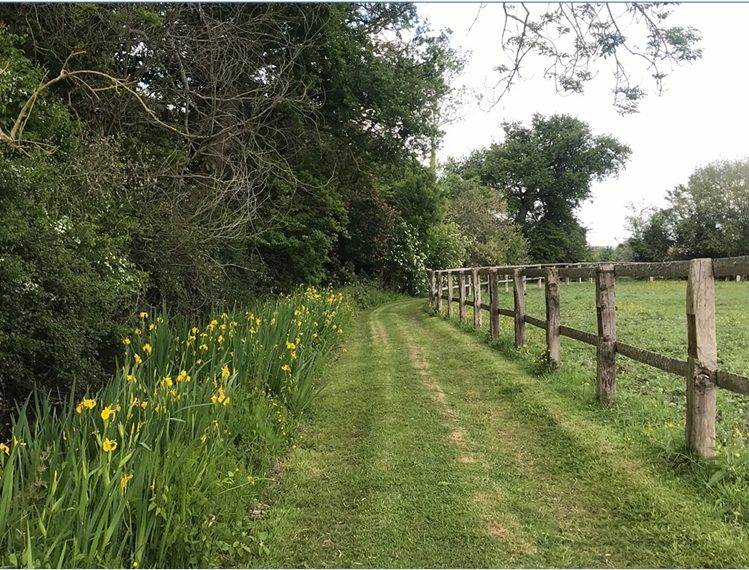 Propriet&agrave; equestre In vendita Calvados