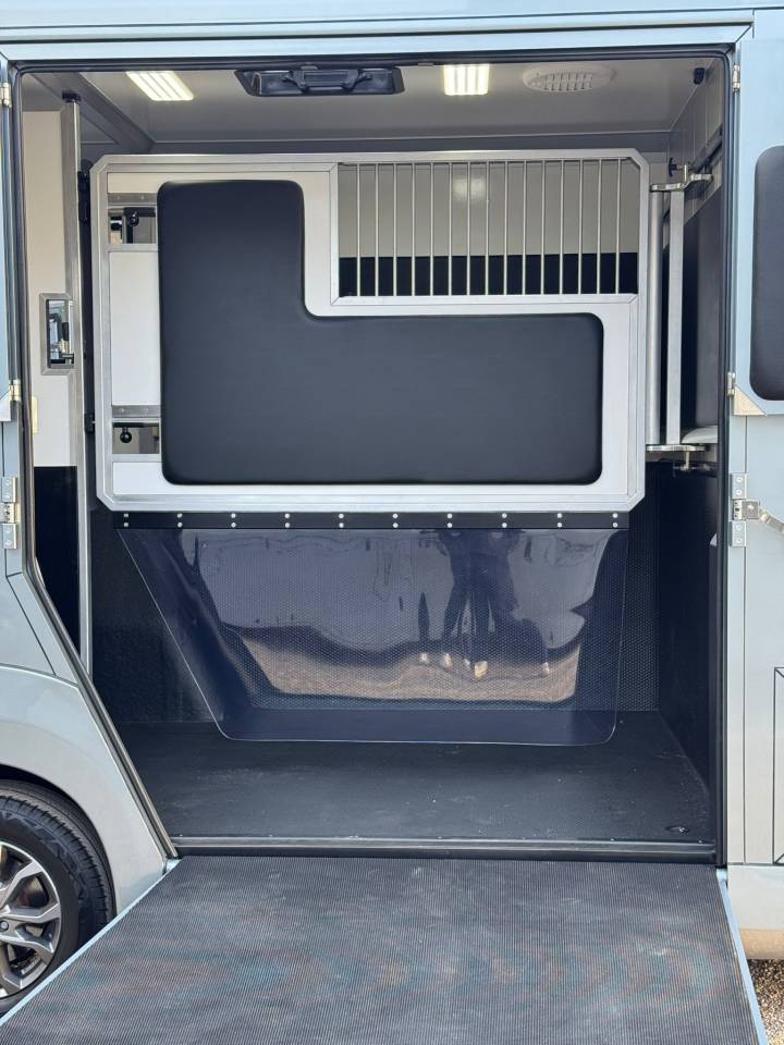 Van per Cavalli AKX 5stalles 2023 Occasione