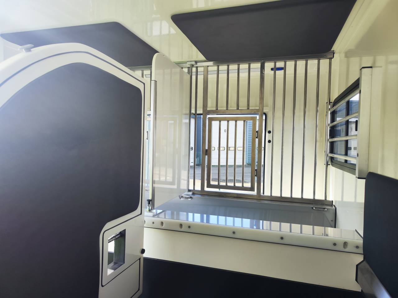 Van per Cavalli Ameline SELECT  2026 Occasione