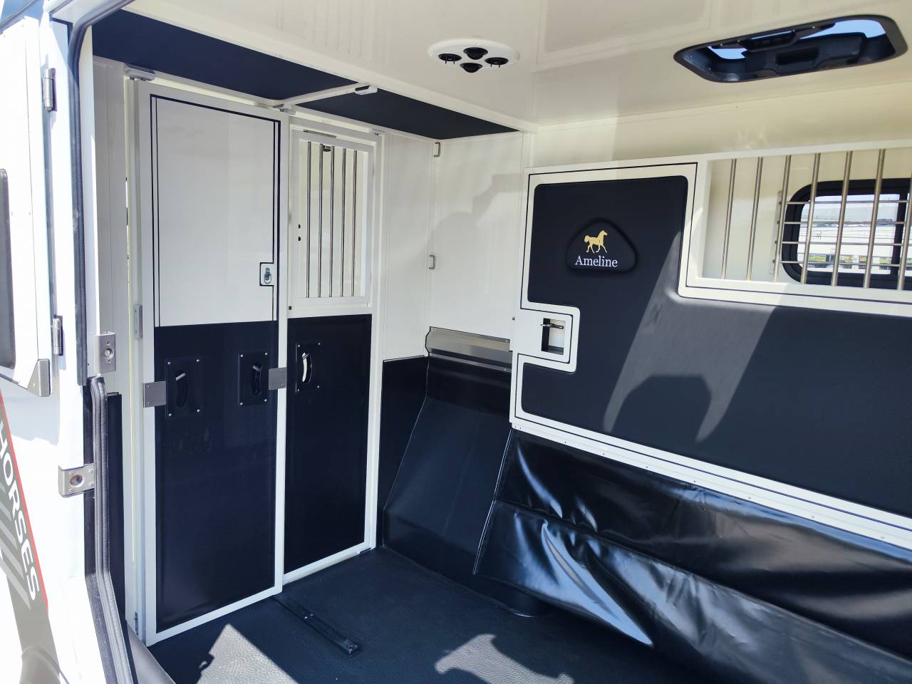 Van per Cavalli Ameline HARAS  2026 Occasione