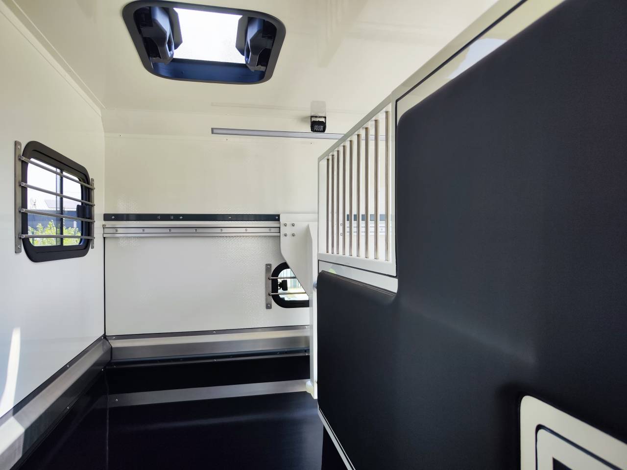 Van per Cavalli Ameline HARAS  2026 Occasione