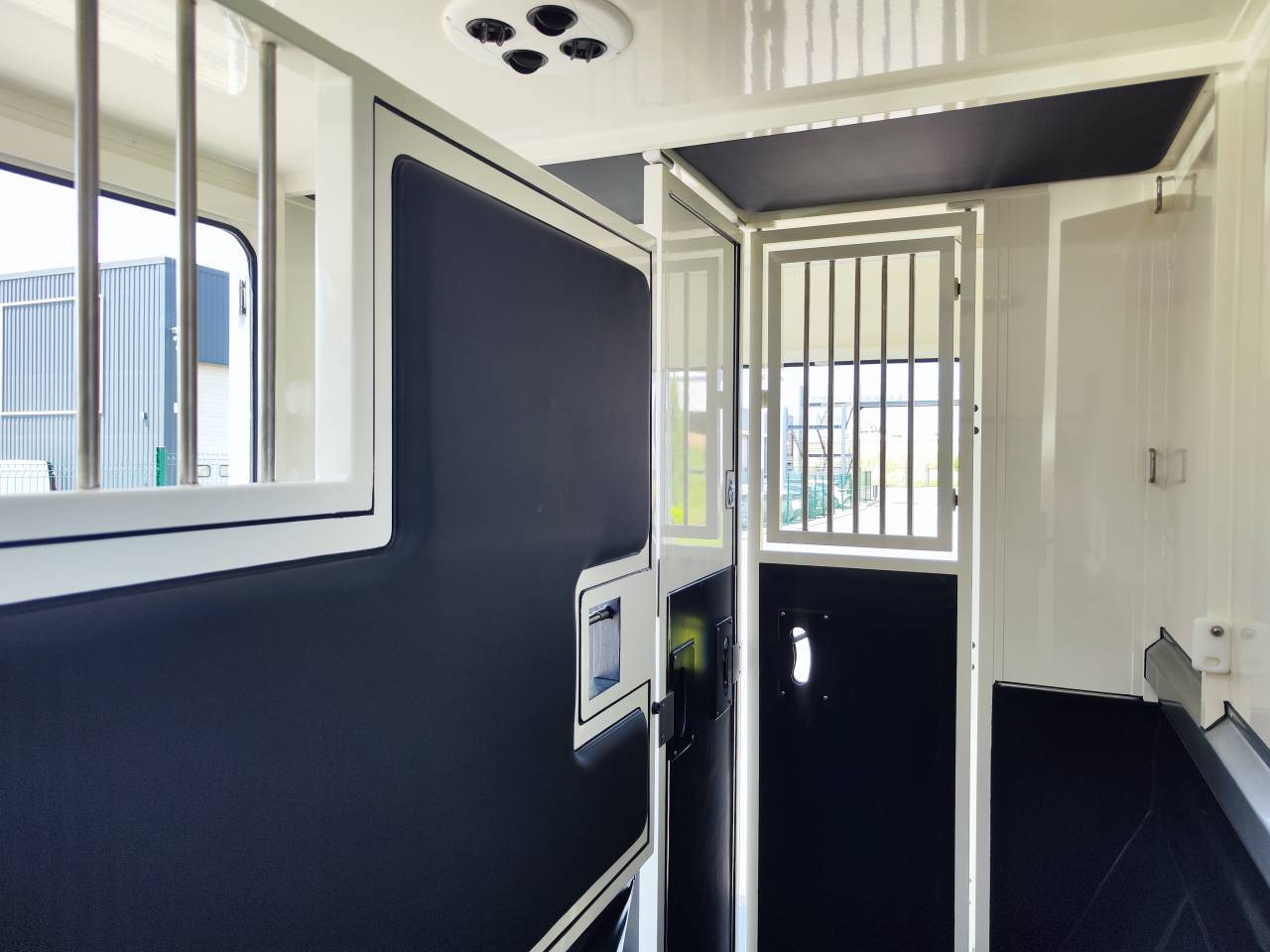 Van per Cavalli Ameline HARAS  2026 Occasione