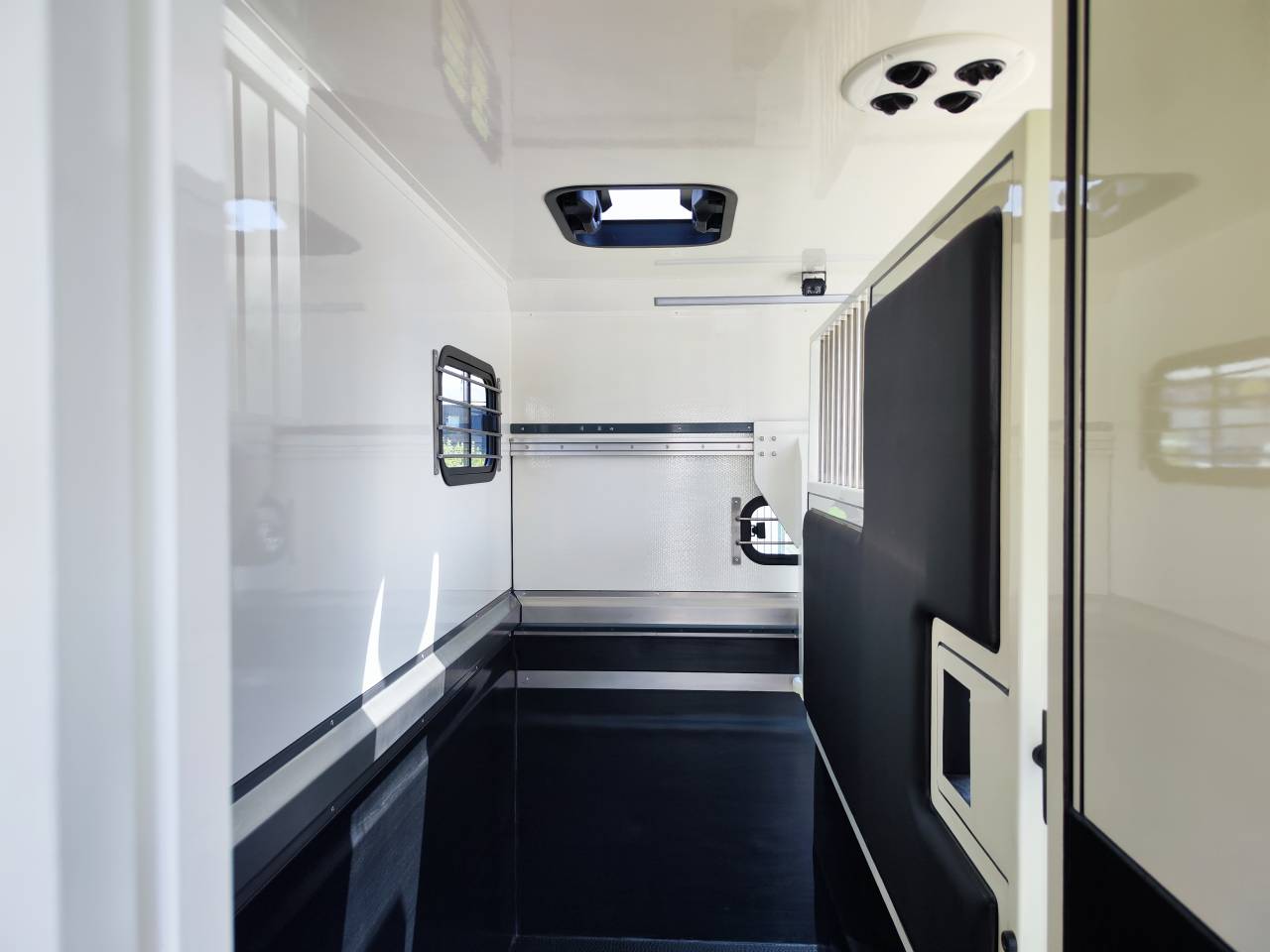 Van per Cavalli Ameline HARAS  2026 Occasione