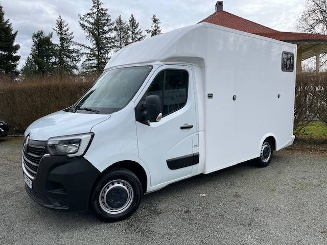 Van per Cavalli AP Petit Master 2023 2023 Occasione