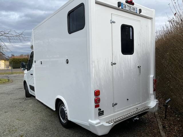 Van per Cavalli AP Petit Master 2023 2023 Occasione