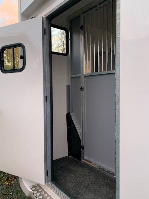 Van per Cavalli AP Petit Master 2023 2023 Occasione