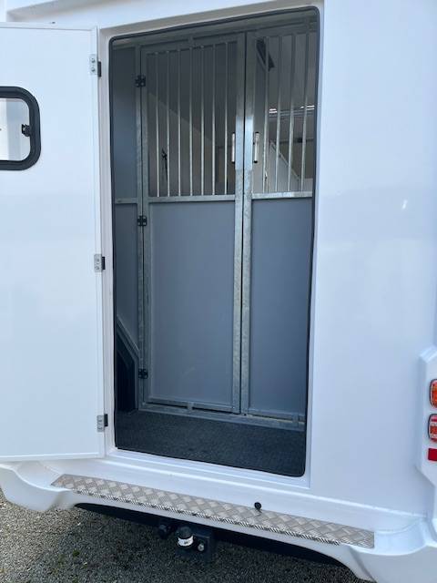 Van per Cavalli AP Petit Master 2023 2023 Occasione