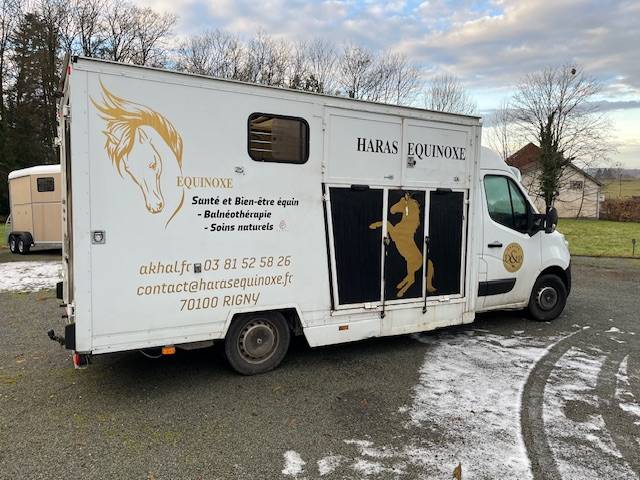 Van per Cavalli Renault Master  2018 Occasione