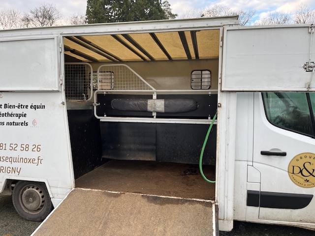 Van per Cavalli Renault Master  2018 Occasione