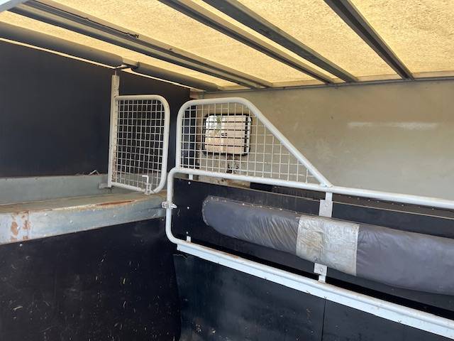 Van per Cavalli Renault Master  2018 Occasione