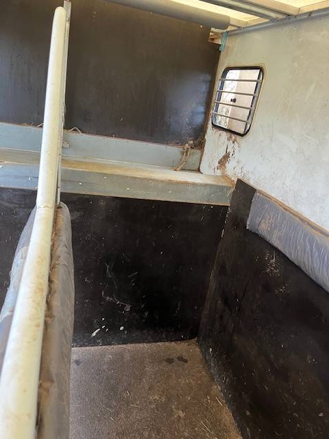 Van per Cavalli Renault Master  2018 Occasione