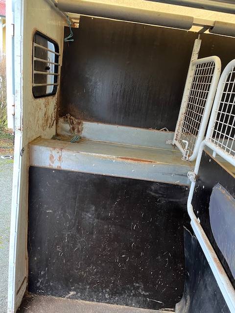 Van per Cavalli Renault Master  2018 Occasione