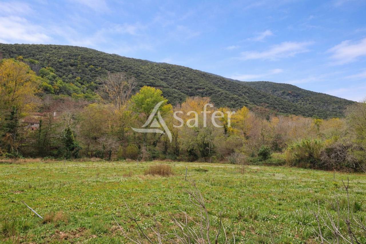 Propriet&agrave; rurale In vendita Pyr&eacute;n&eacute;es-Orientales