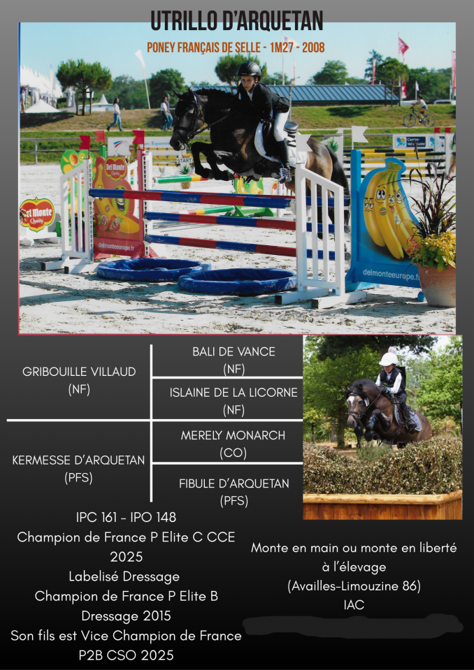 Utrillo d'Arquetan - PFS Pony Francese da Sella 2008 ,  Gribouille Villaud