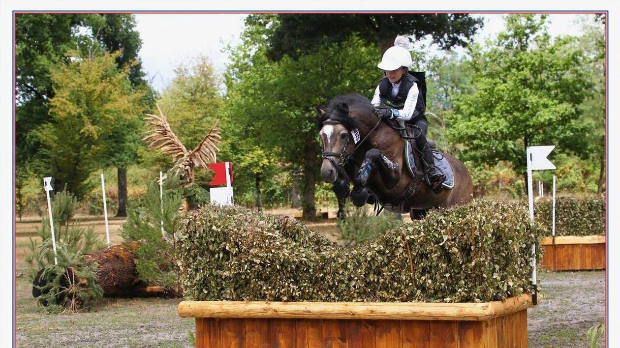 Utrillo d'Arquetan - PFS Pony Francese da Sella 2008 ,  Gribouille Villaud