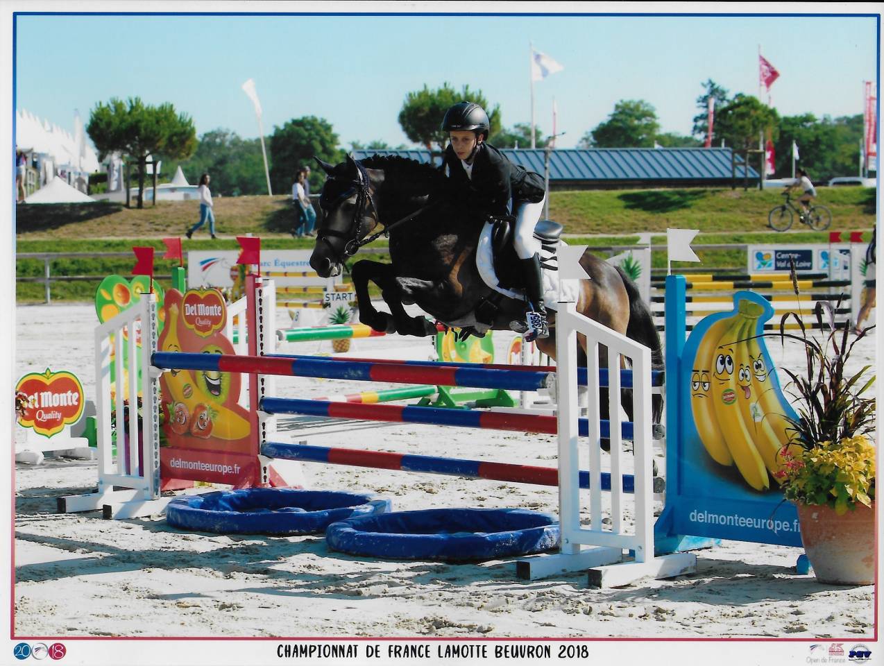 Utrillo d'Arquetan - PFS Pony Francese da Sella 2008 ,  Gribouille Villaud