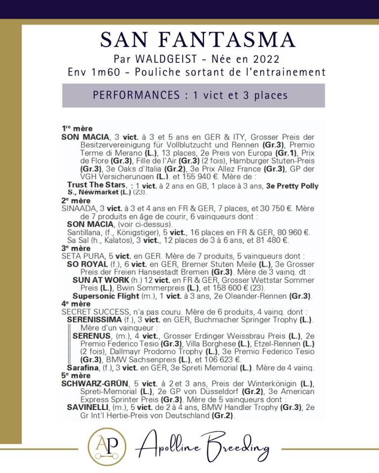 Cavalla Purosangue In vendita 2022 Baio