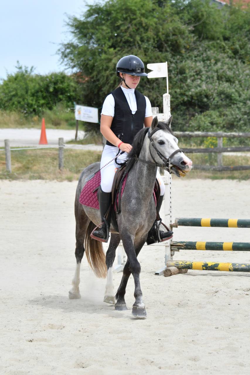 Castrone PFS Pony Francese da Sella In vendita 2022 Grigio ,  RABOLIOT D'ARQUETAN