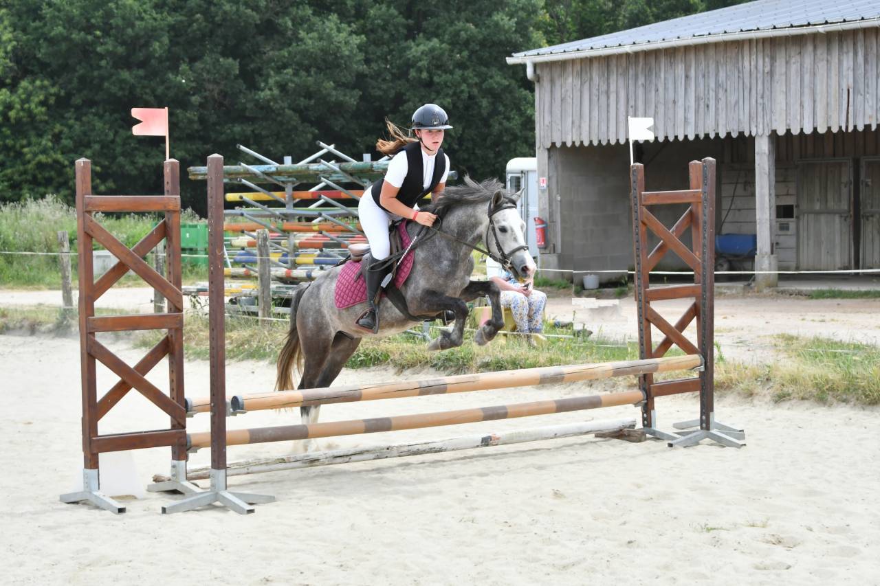 Castrone PFS Pony Francese da Sella In vendita 2022 Grigio ,  RABOLIOT D'ARQUETAN