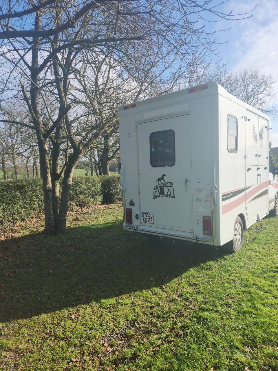 Van per Cavalli Renault Master 2000 Occasione