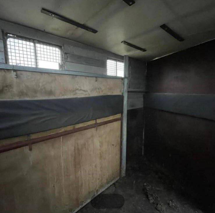 Daily 53/10 anno 1989 per trasporto cavalli 