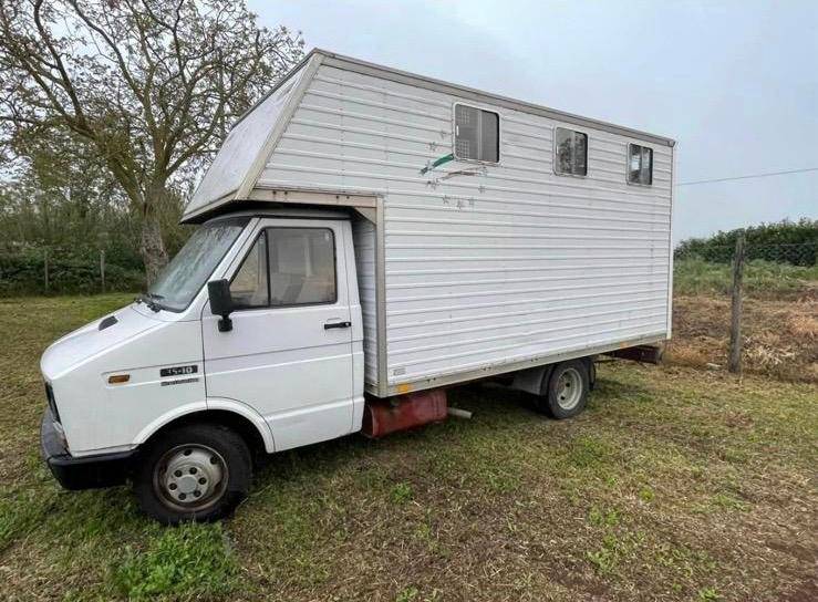 Daily 53/10 anno 1989 per trasporto cavalli 