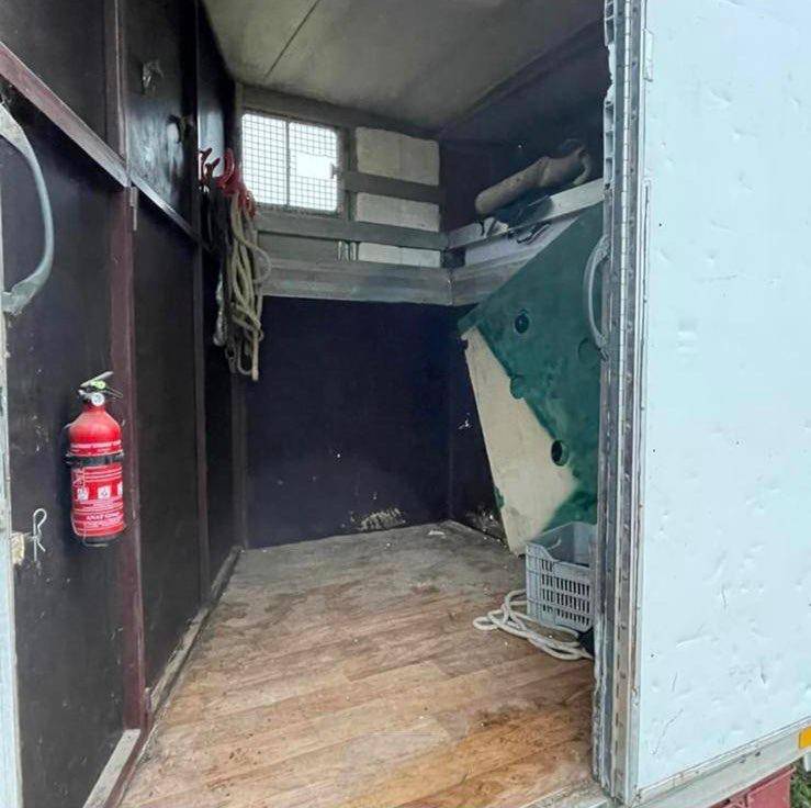 Daily 53/10 anno 1989 per trasporto cavalli 