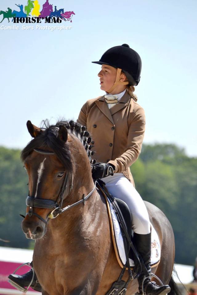 Secret d'Arquetan - PFS Pony Francese da Sella 2006 ,  GEDEON DES MAUVIS