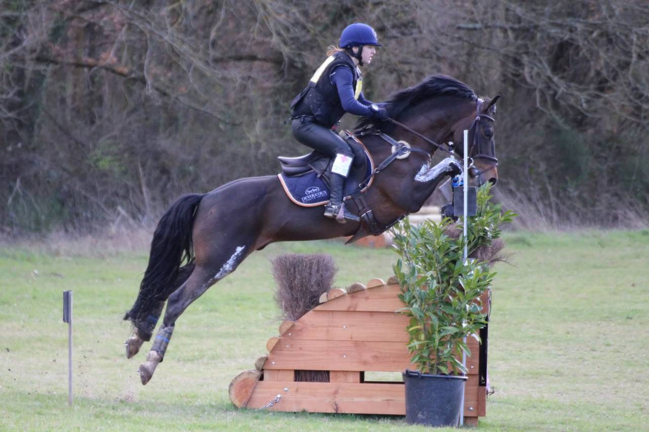 Secret d'Arquetan - PFS Pony Francese da Sella 2006 ,  GEDEON DES MAUVIS