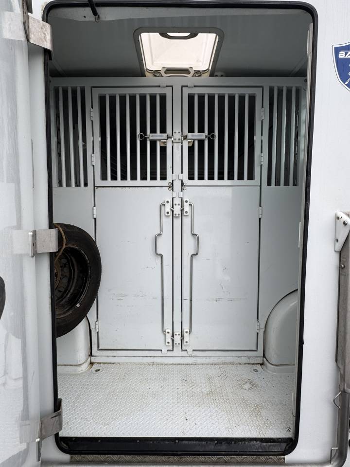 Van per Cavalli Barbot  2017 Occasione