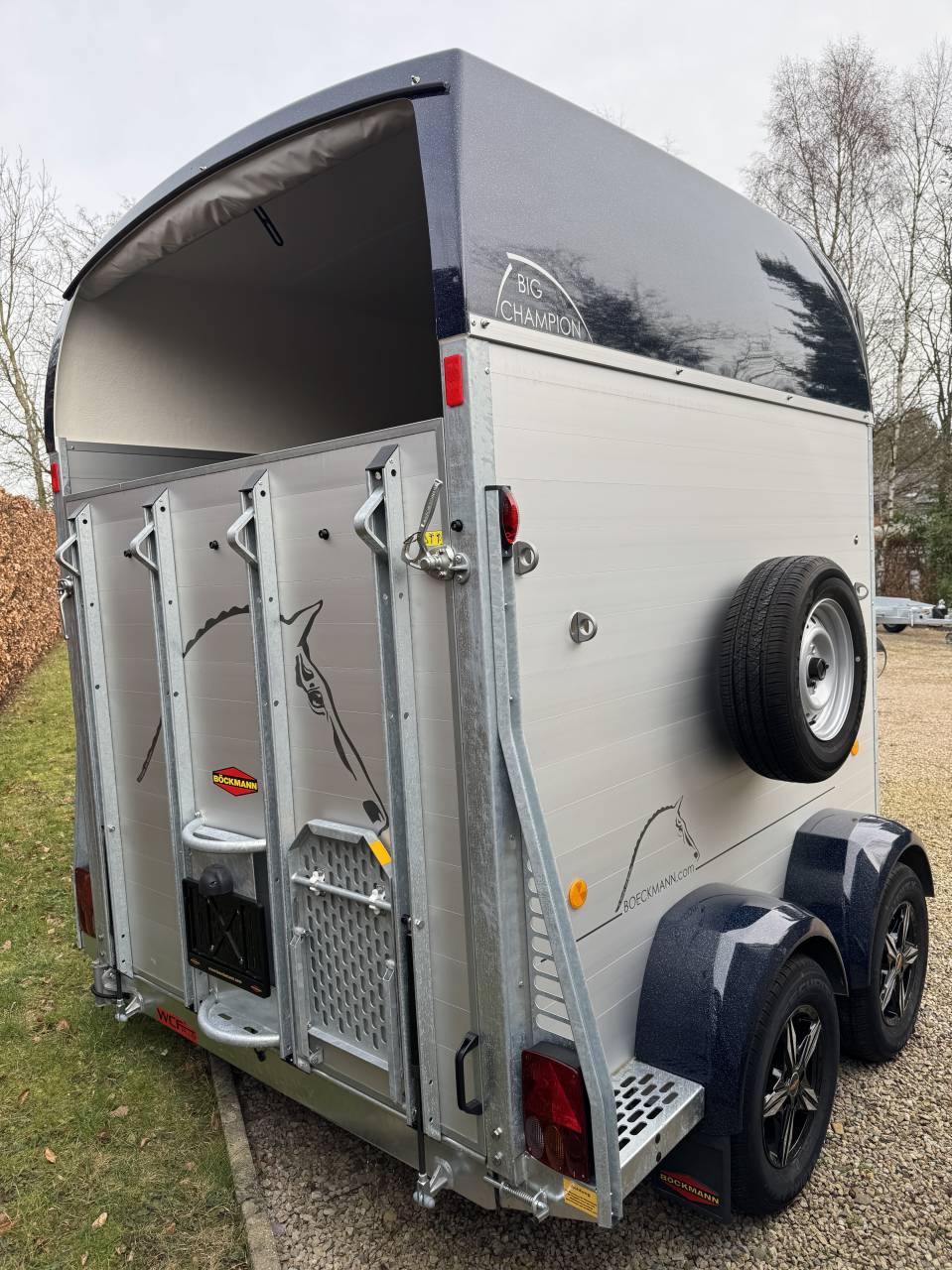 Trailer Bockmann BIG CHAMPION E 2 Cavalli 2025 Nuovo