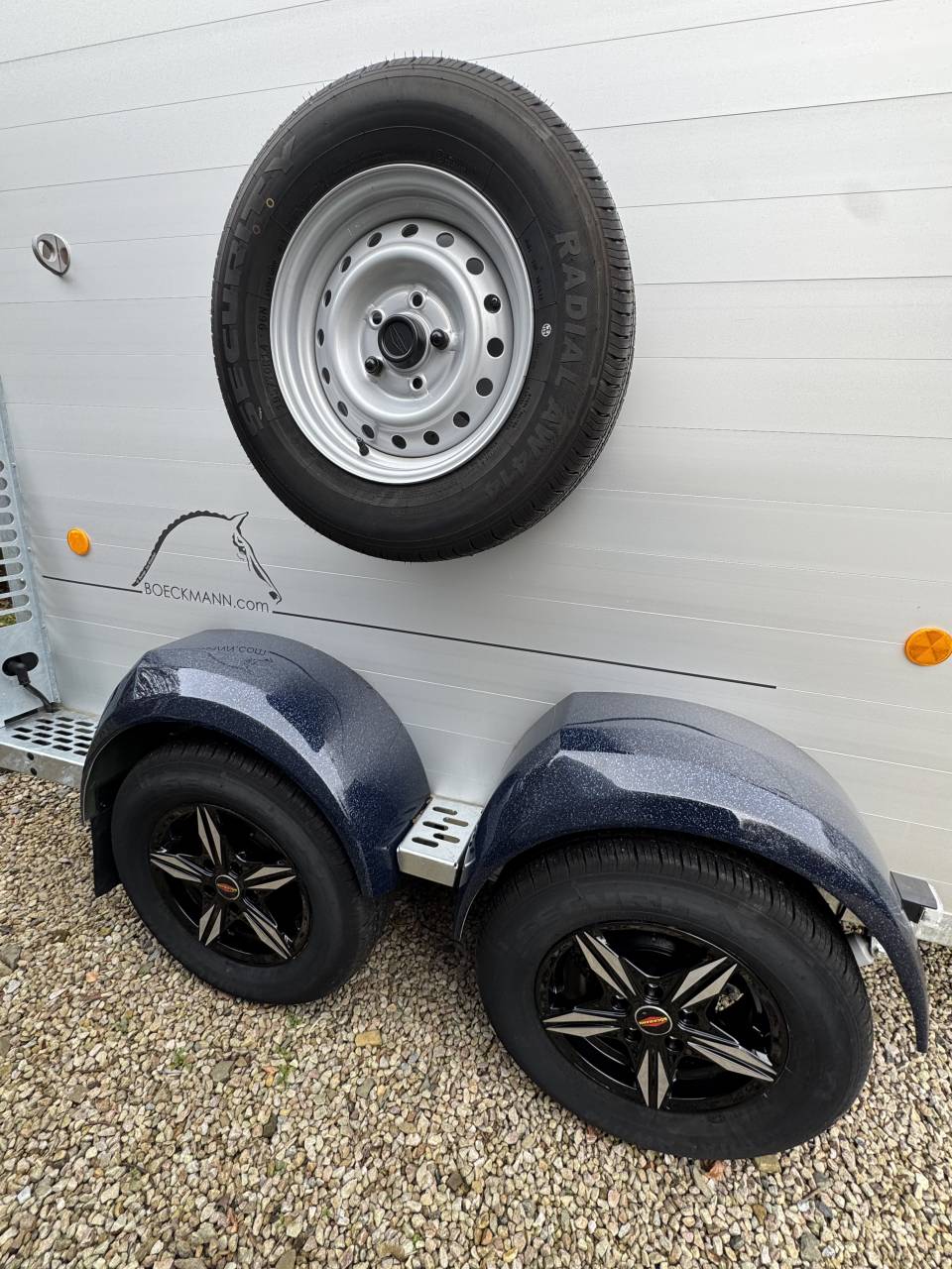 Trailer Bockmann BIG CHAMPION E 2 Cavalli 2025 Nuovo