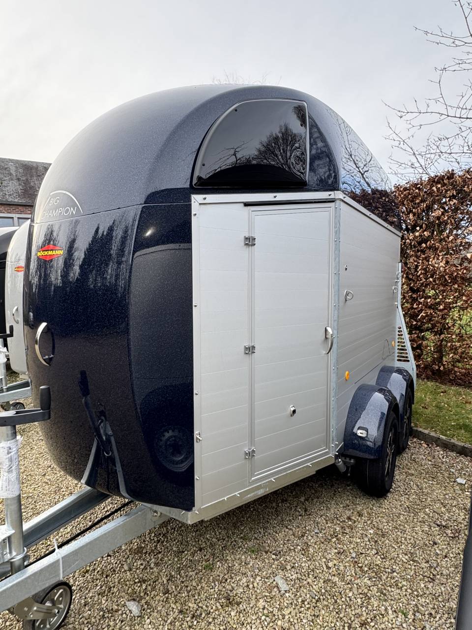 Trailer Bockmann BIG CHAMPION E 2 Cavalli 2025 Nuovo