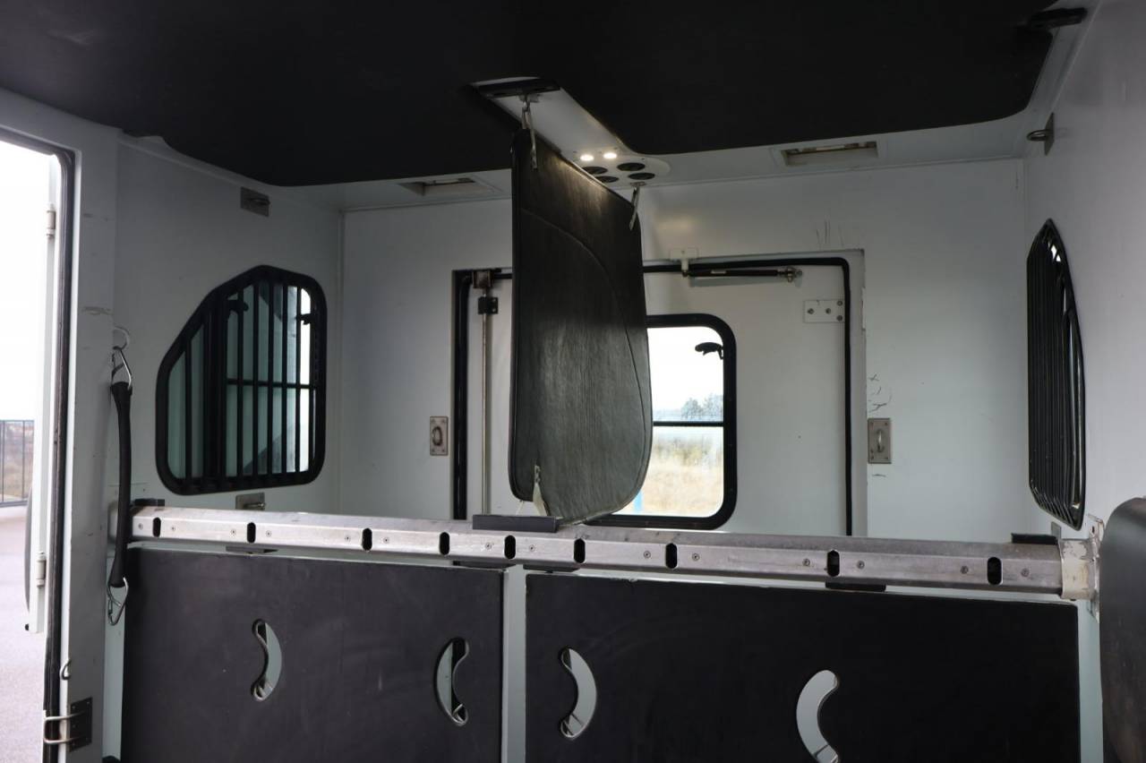 Van per Cavalli Theault THEAULT PROTEO 3.0 180CH 2015 Occasione