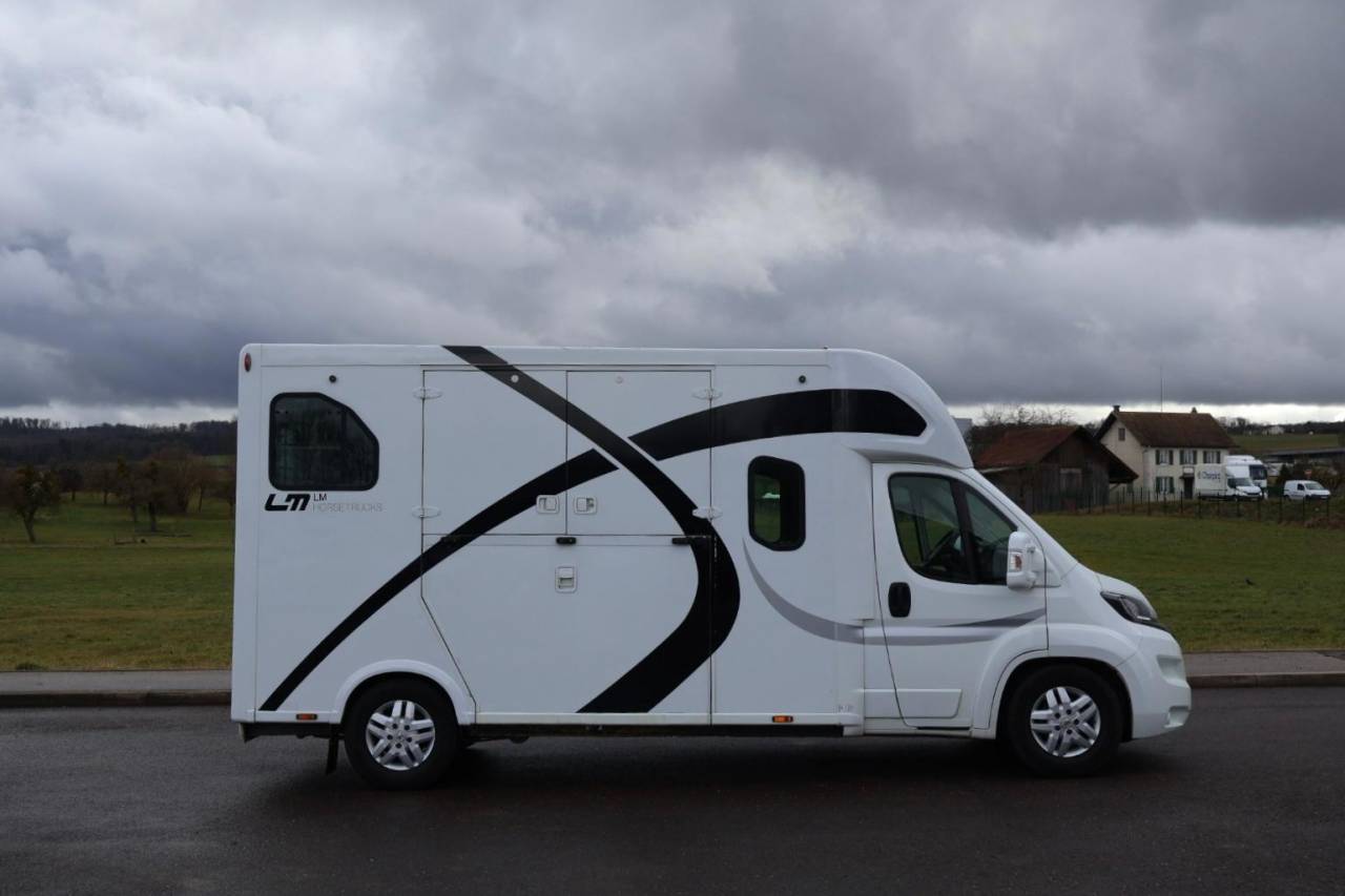 Van per Cavalli Theault THEAULT PROTEO 3.0 180CH 2015 Occasione