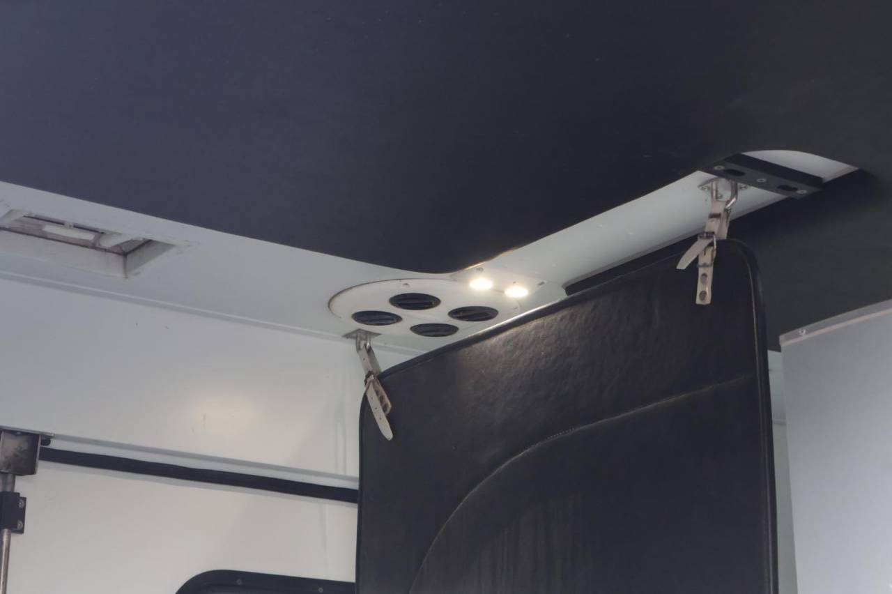 Van per Cavalli Theault THEAULT PROTEO 3.0 180CH 2015 Occasione