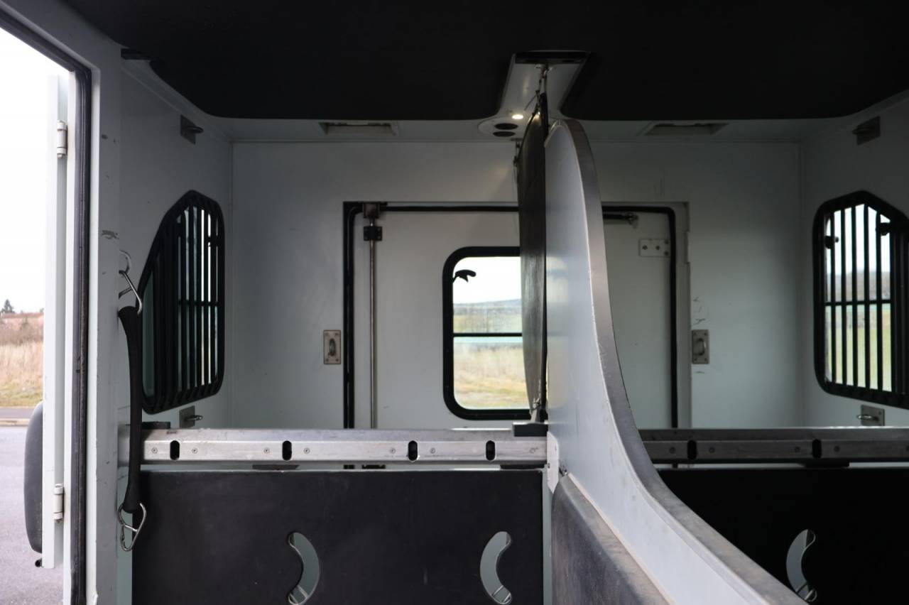 Van per Cavalli Theault THEAULT PROTEO 3.0 180CH 2015 Occasione