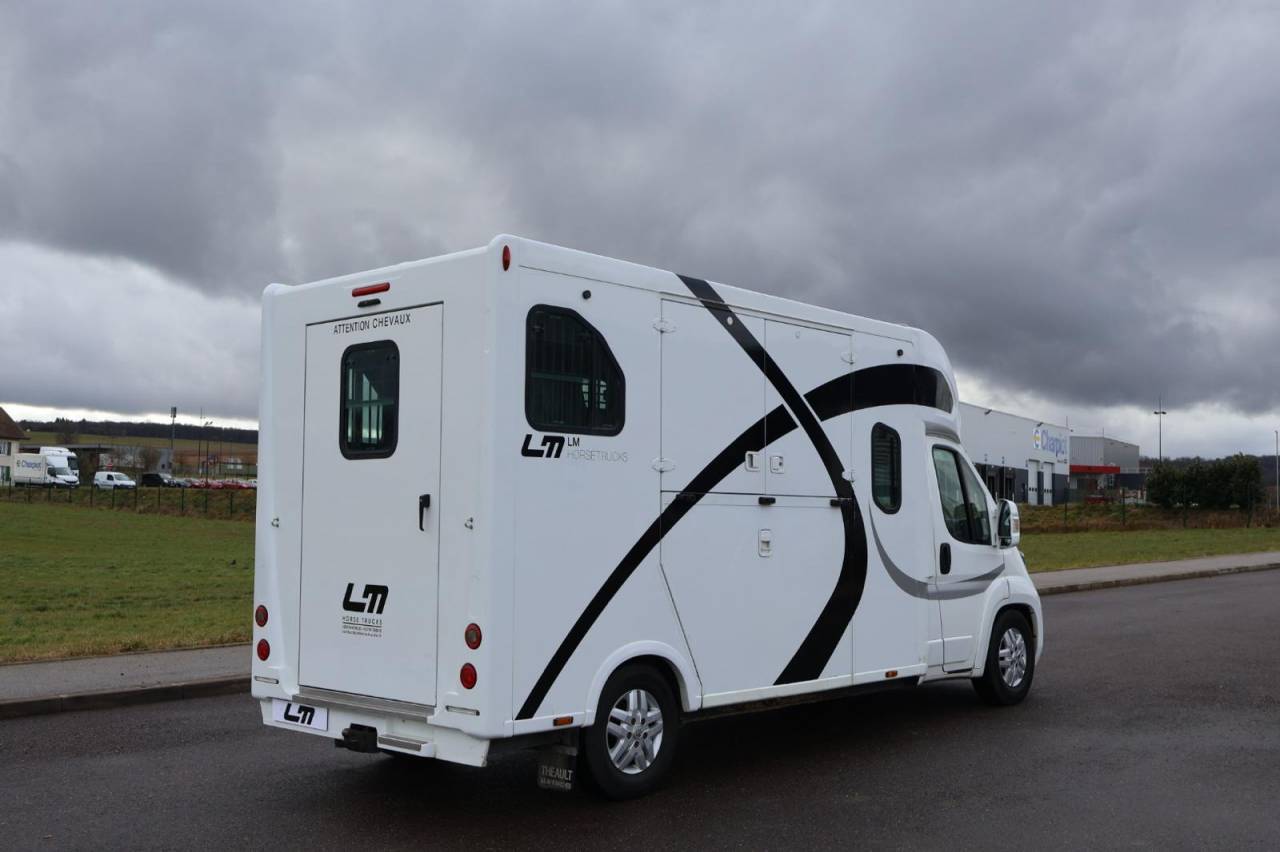 Van per Cavalli Theault THEAULT PROTEO 3.0 180CH 2015 Occasione