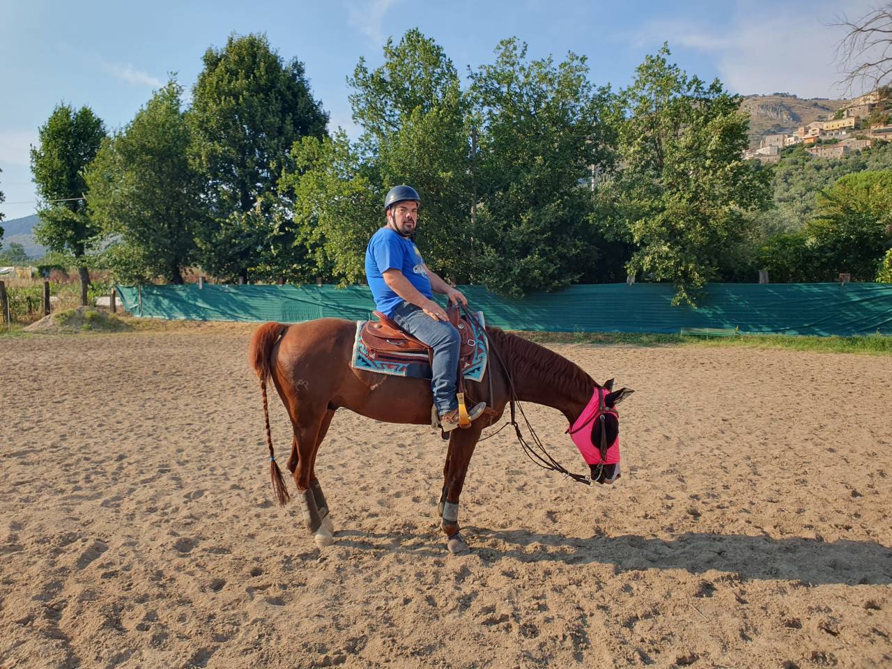 Cavallo da reining stallone razza quarter horse di anni 12