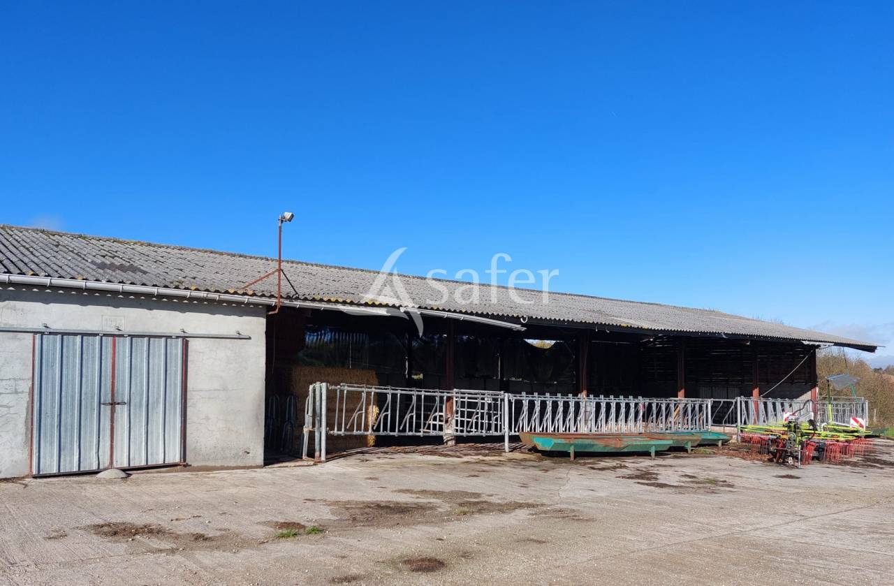 Azienda ovina In vendita Dordogne