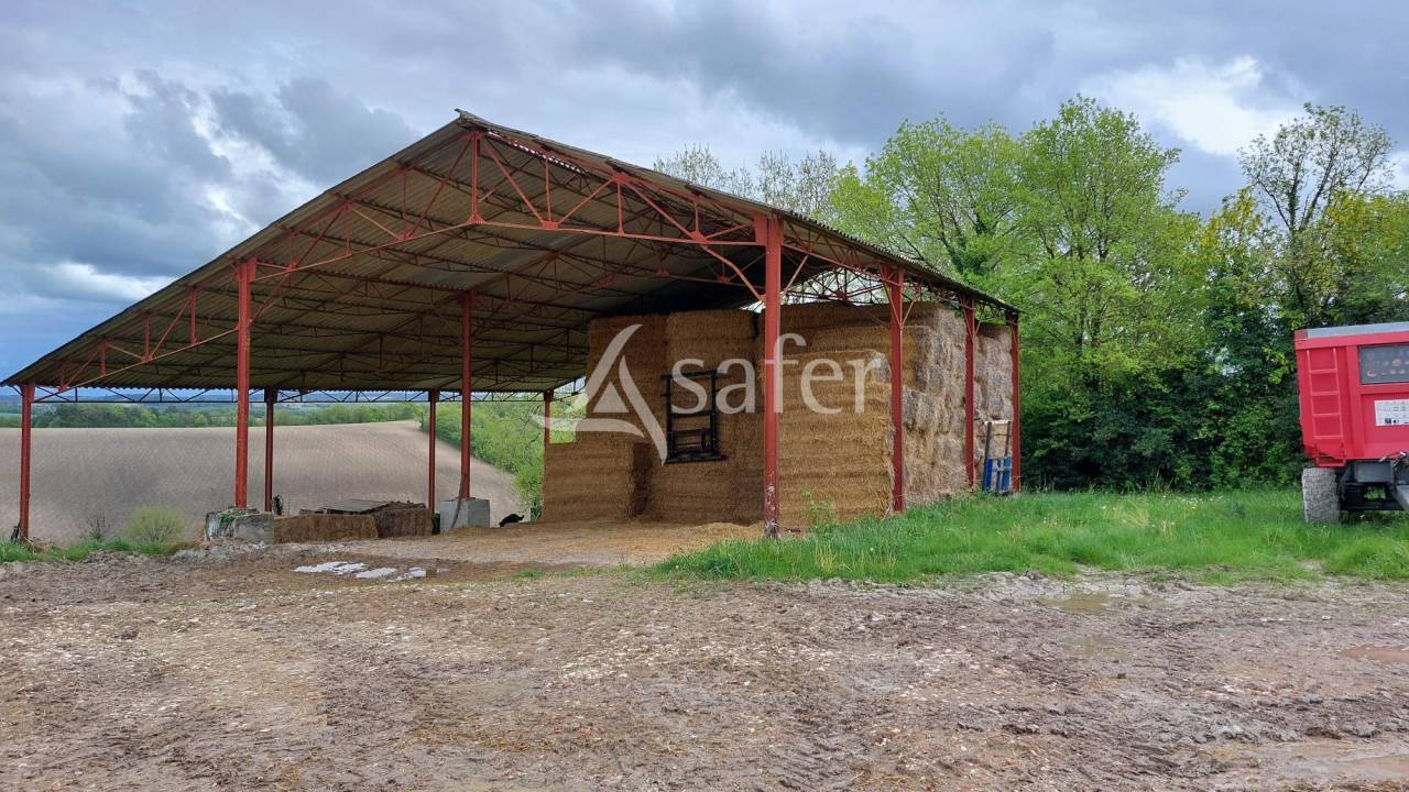 Azienda ovina In vendita Dordogne