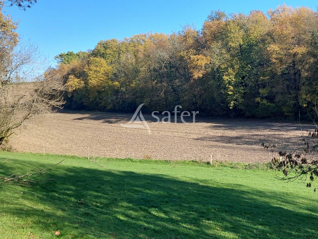 Azienda ovina In vendita Dordogne