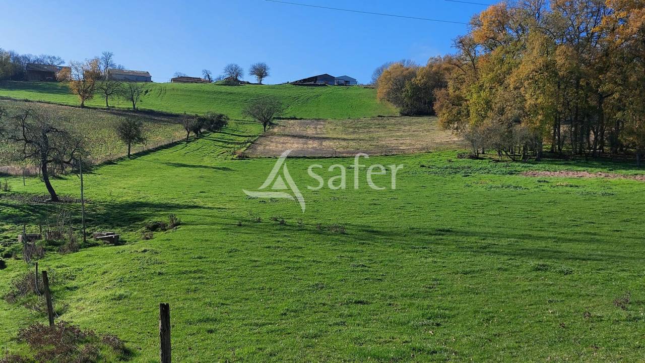 Azienda ovina In vendita Dordogne