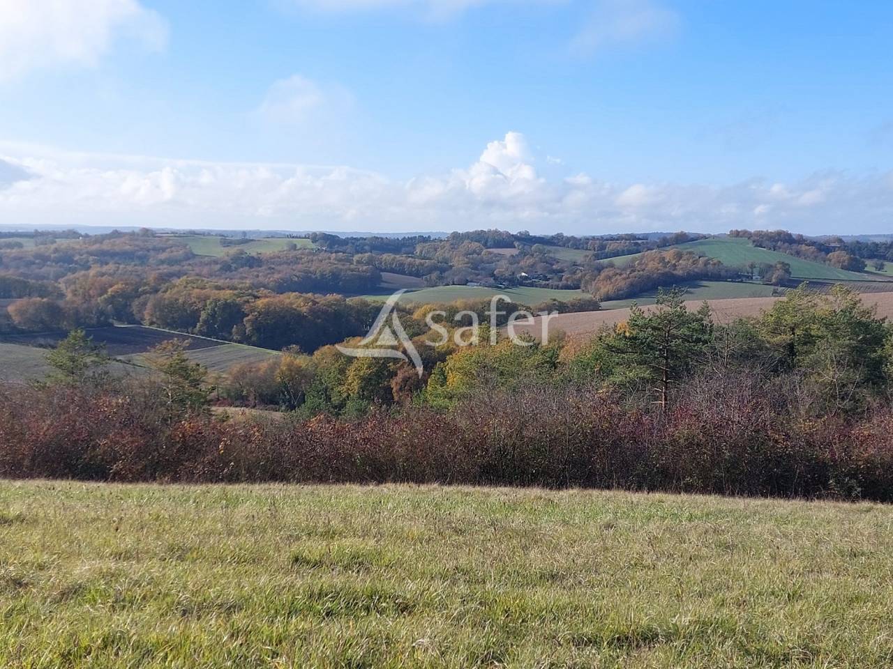 Azienda ovina In vendita Dordogne