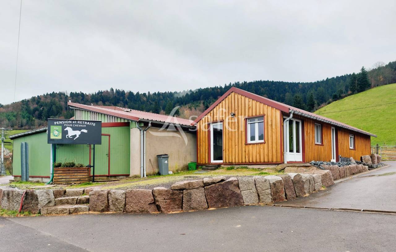 Propriet&agrave; equestre In vendita Vosges