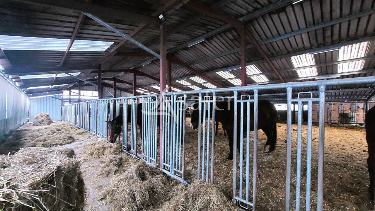 Propriet&agrave; equestre In vendita Vosges