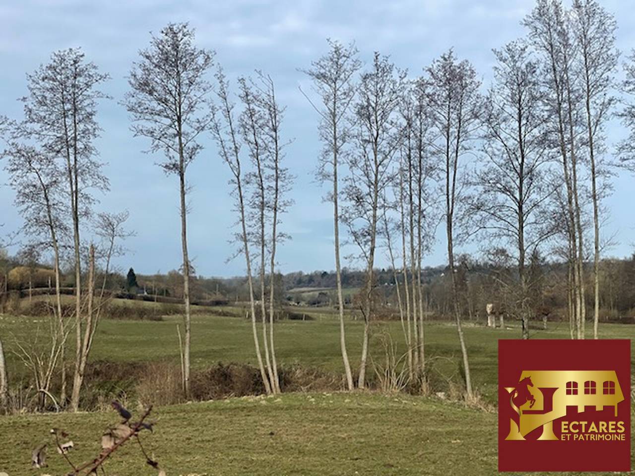 Propriet&agrave; equestre In vendita Calvados