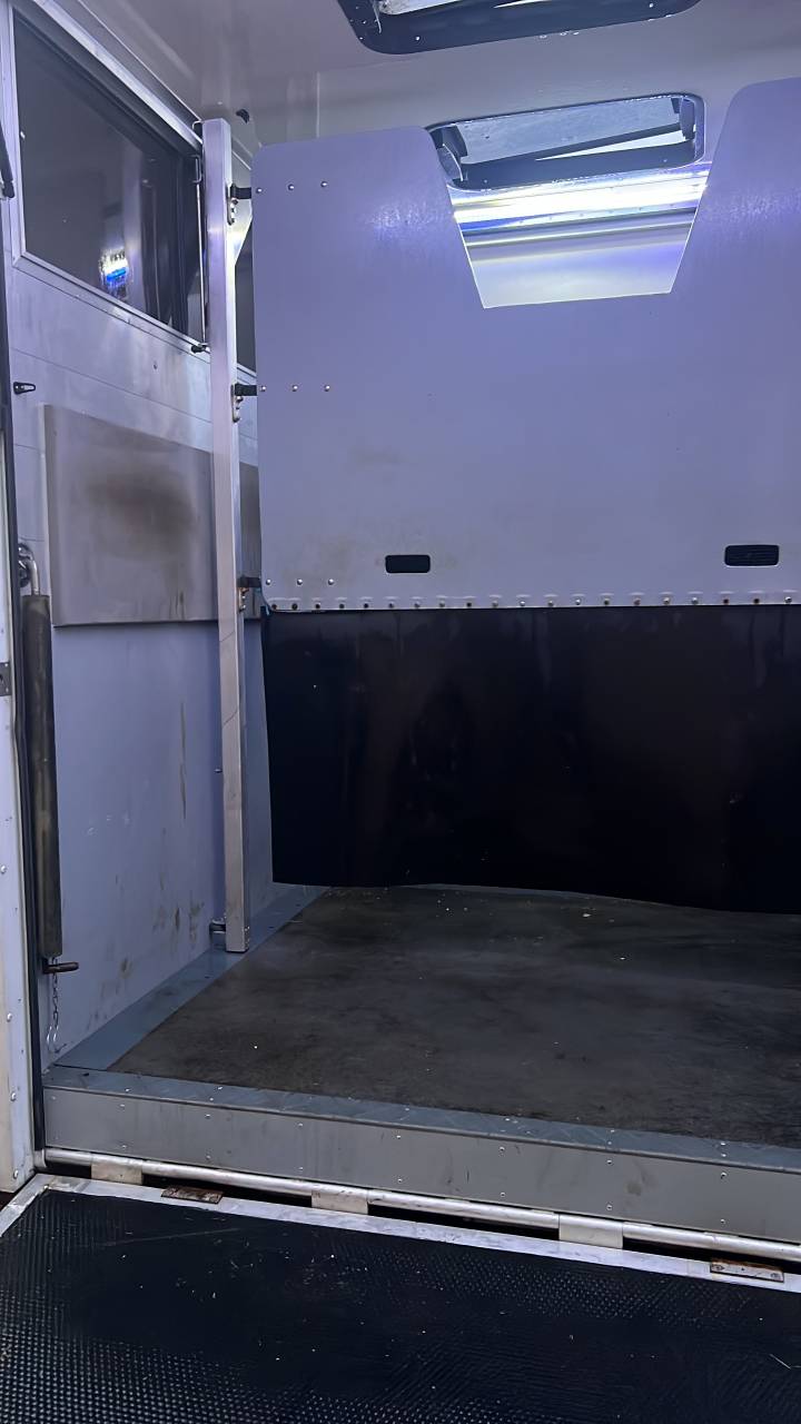 Van per Cavalli Renault Master 2020 Occasione